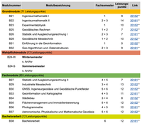 BSc Modulhandbuch